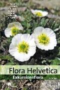 Flora Helvetica - Exkursionsflora